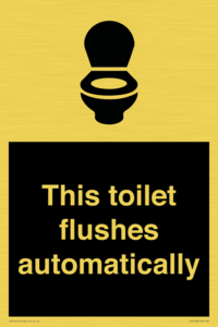 This toilet flushes automatically